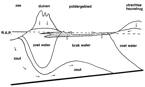 doorsnede hydrologisch systeem